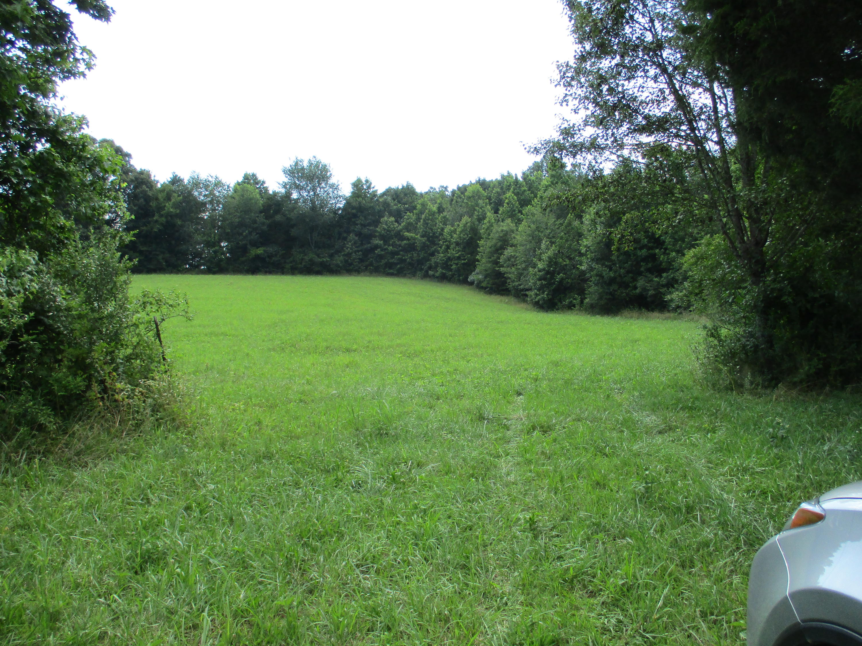0 Ruth Road Dayton, TN 37321 - Photo 3 of 20 IMG_0277