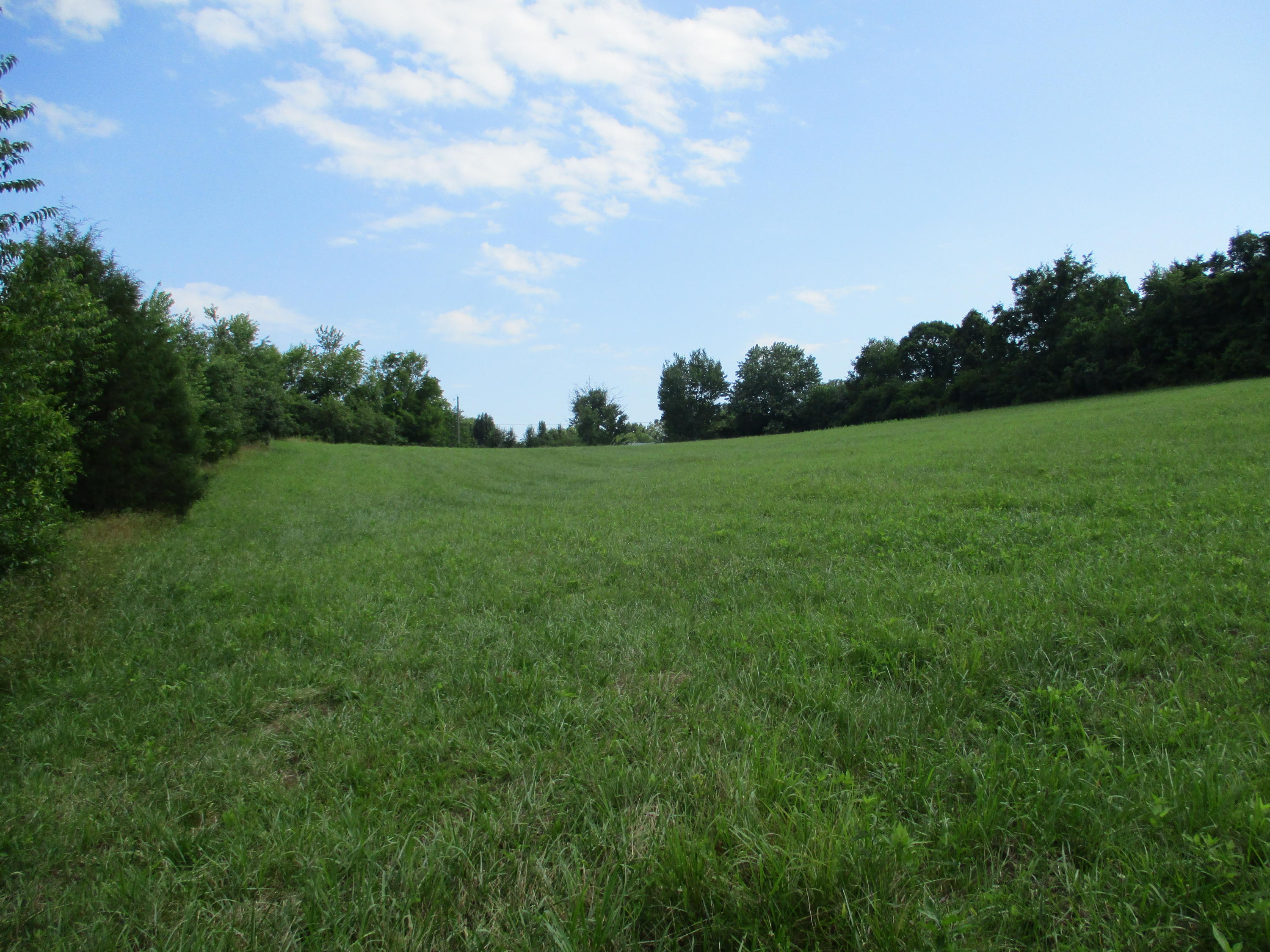 0 Ruth Road Dayton, TN 37321 - Photo 4 of 20 IMG_0278