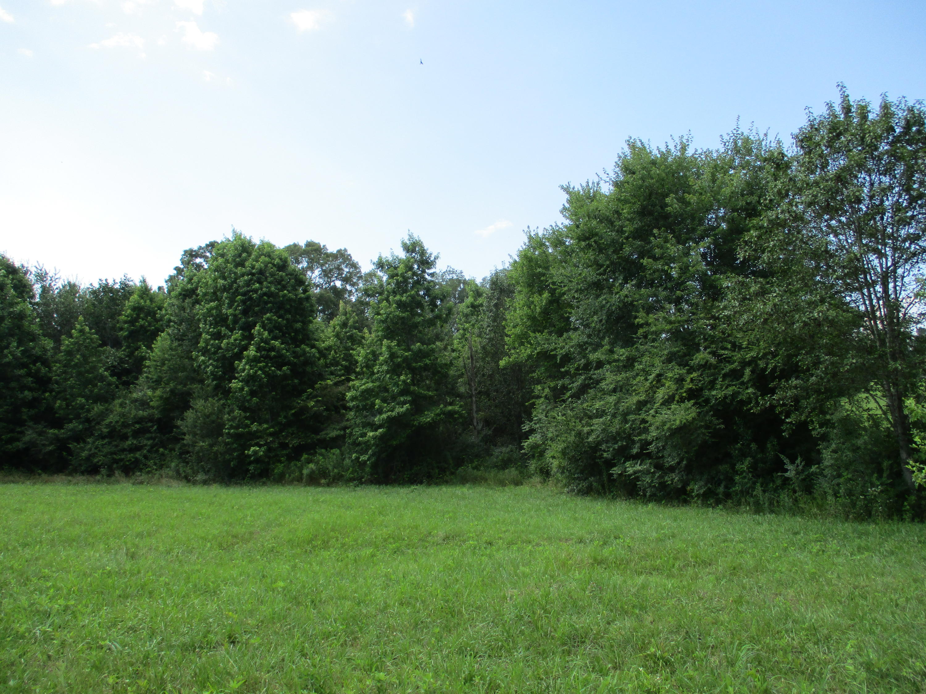 0 Ruth Road Dayton, TN 37321 - Photo 6 of 20 IMG_0280