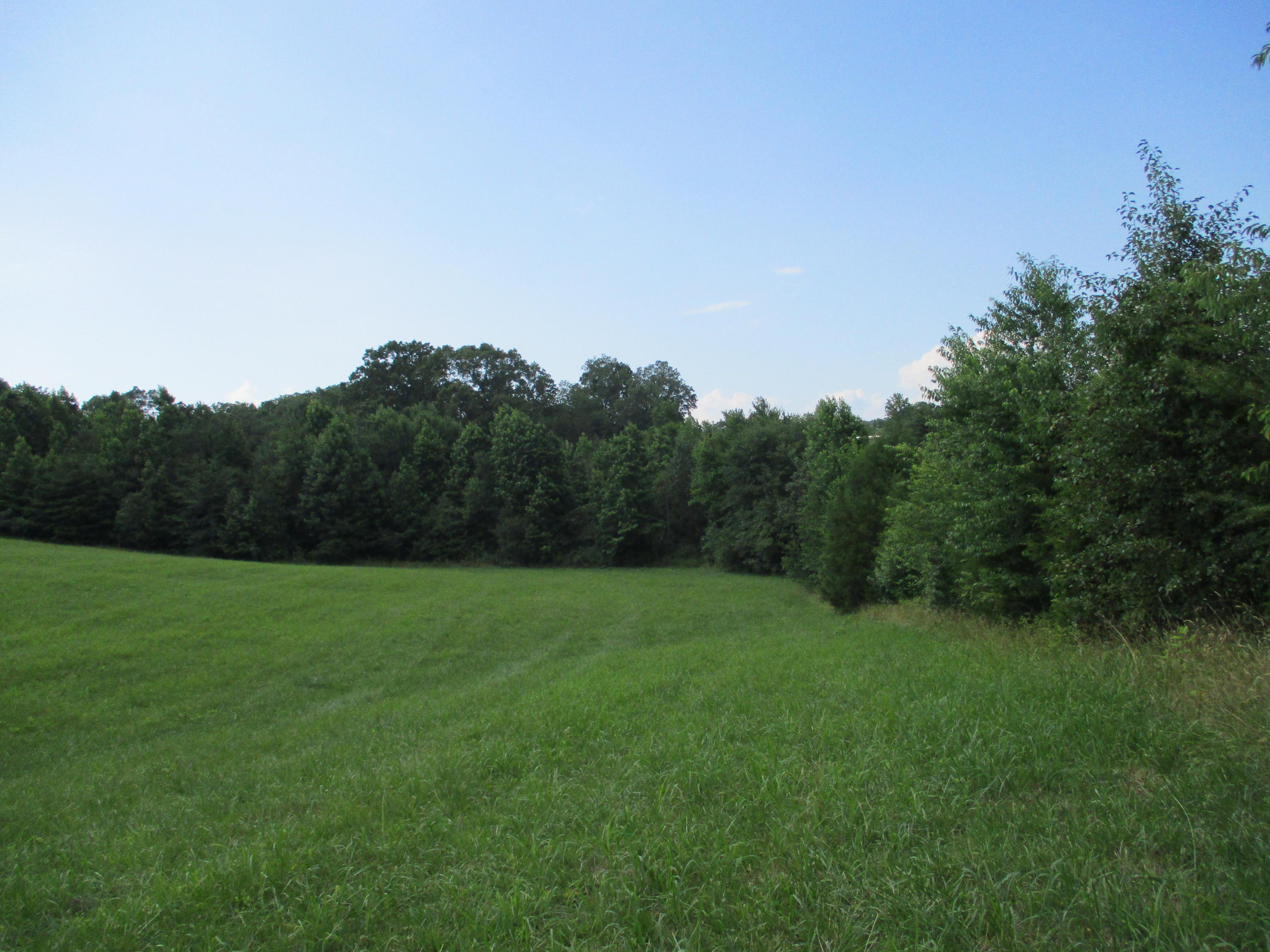 0 Ruth Road Dayton, TN 37321 - Photo 7 of 20 IMG_0281