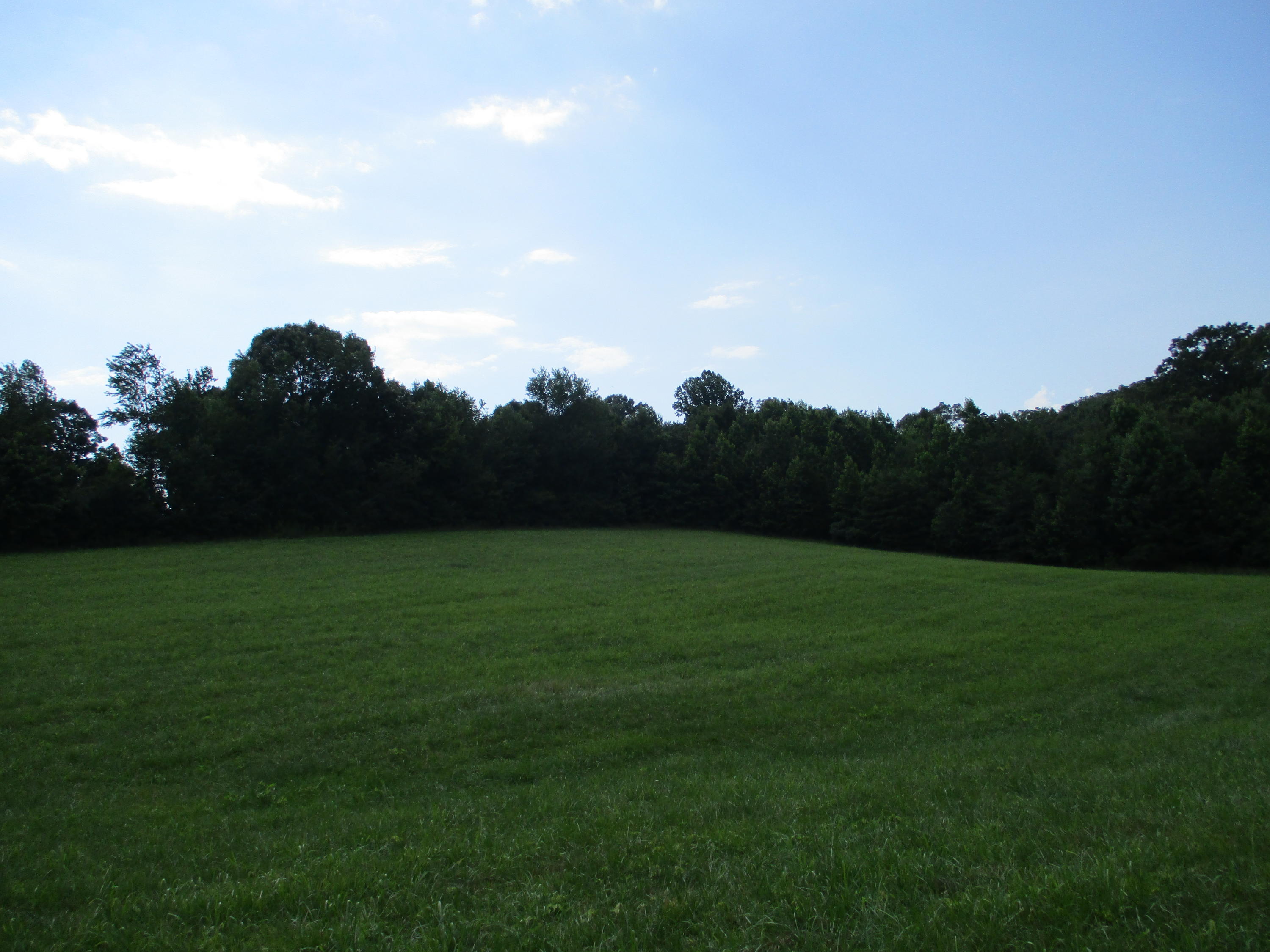 0 Ruth Road Dayton, TN 37321 - Photo 8 of 20 IMG_0282