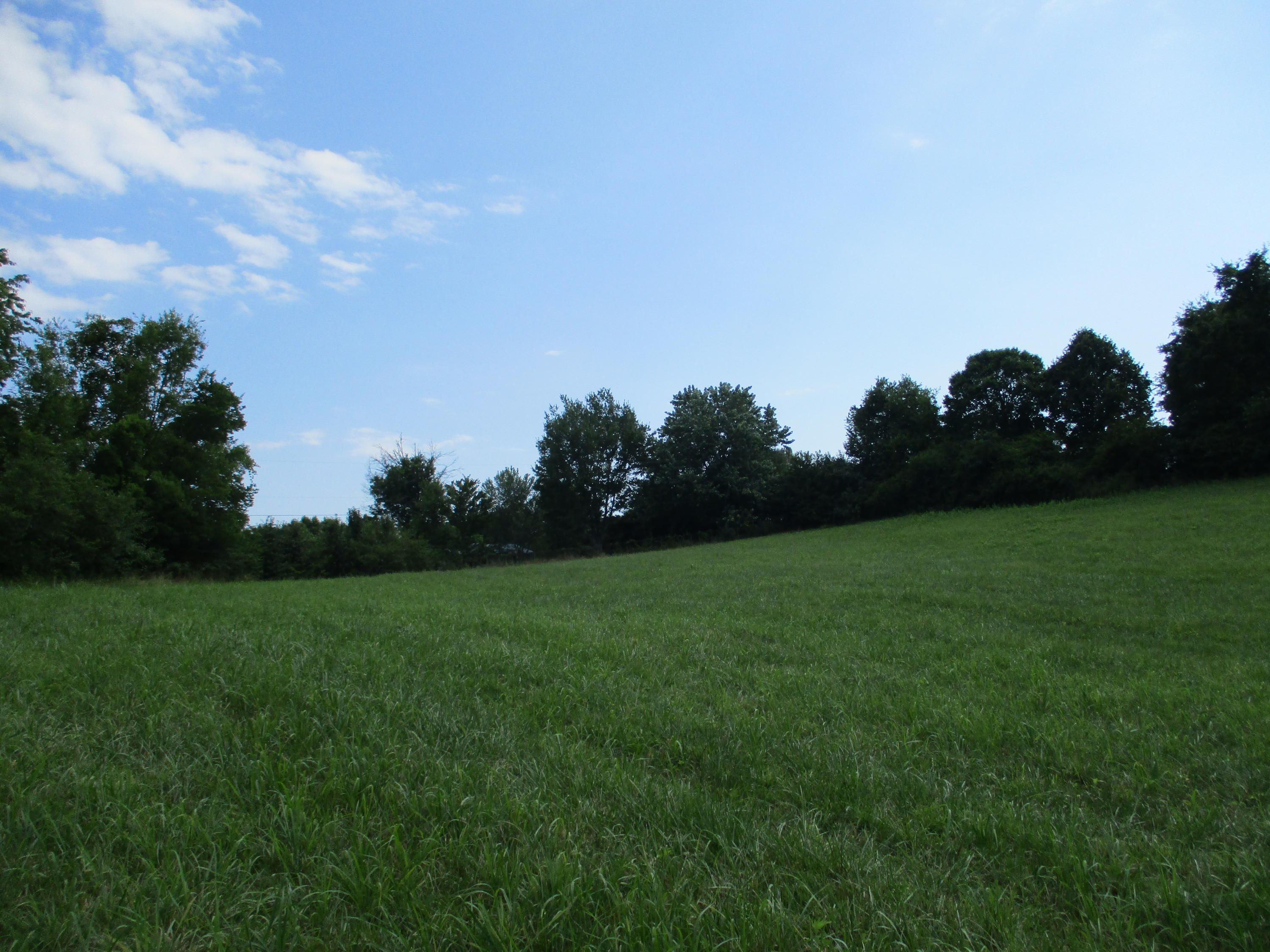 0 Ruth Road Dayton, TN 37321 - Photo 9 of 20 IMG_0283