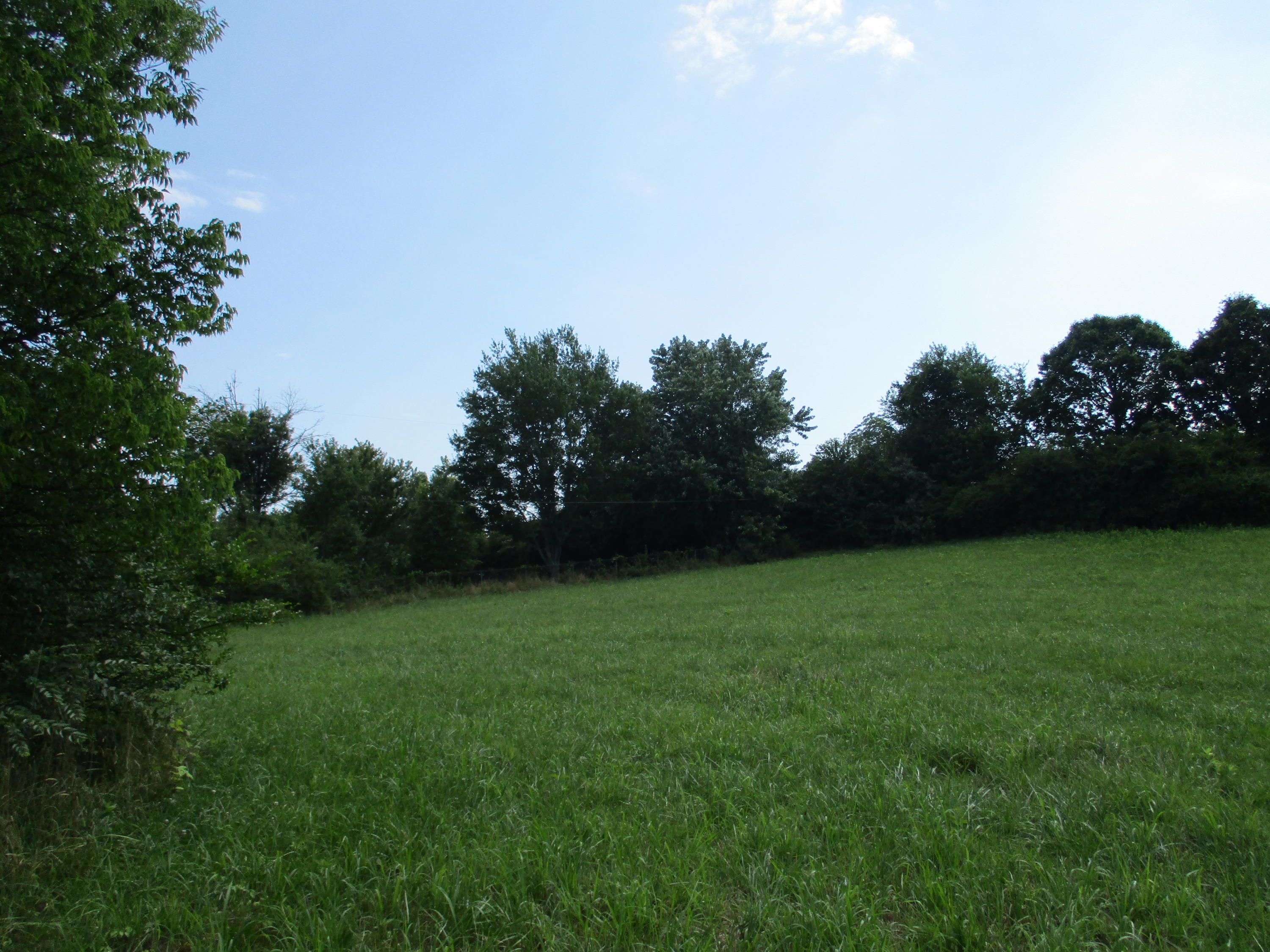 0 Ruth Road Dayton, TN 37321 - Photo 10 of 20 IMG_0284