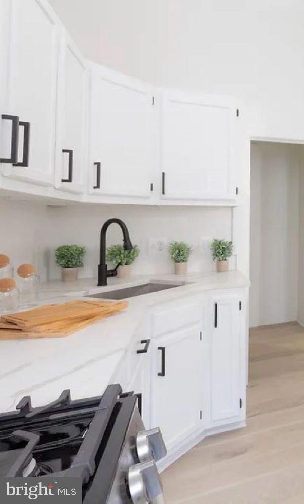 807 Park Avenue, Unit 4 Baltimore, MD 21201 - Photo 2 of 7 Kitchen