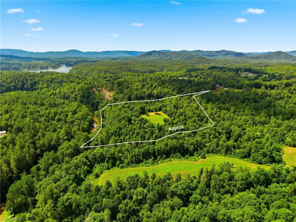 Tbd Harris Road Wilkesboro, NC 28697 - Photo 19 of 25