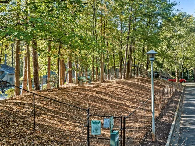 a view of a yard with plants and trees