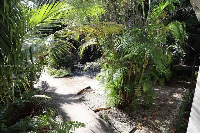 a view of a plant in a garden