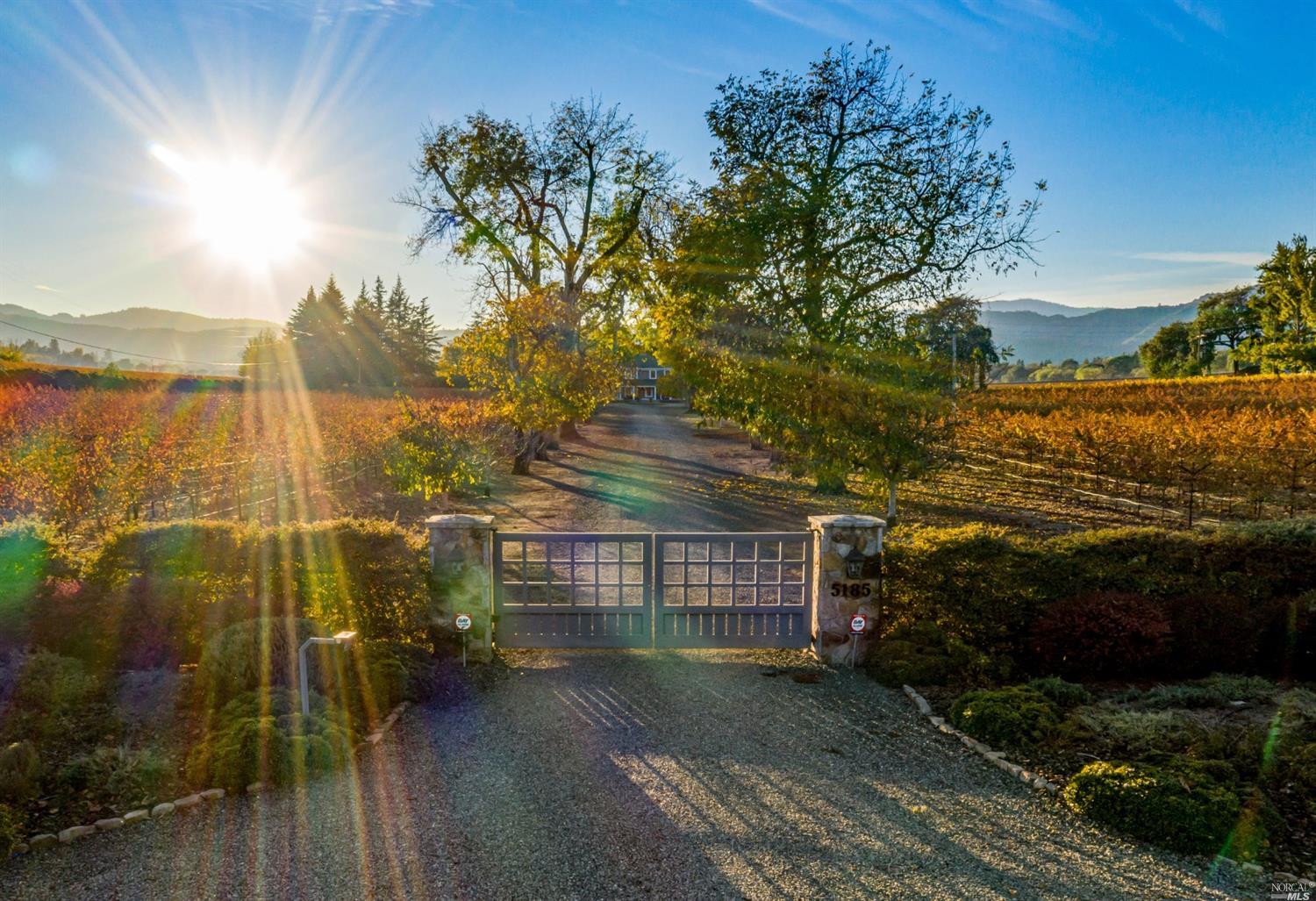 a view of a pathway both side of building