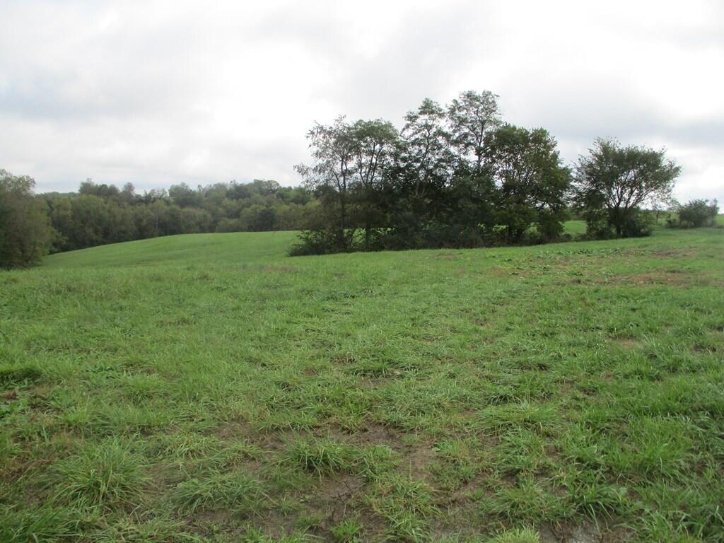 4097 Hilltop Road Ewing, KY 41039 - Photo 7 of 16 38537_6