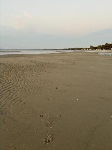 7783 Port Austin Road Pigeon, MI 48755 - Photo 19 of 22 IMG_0989