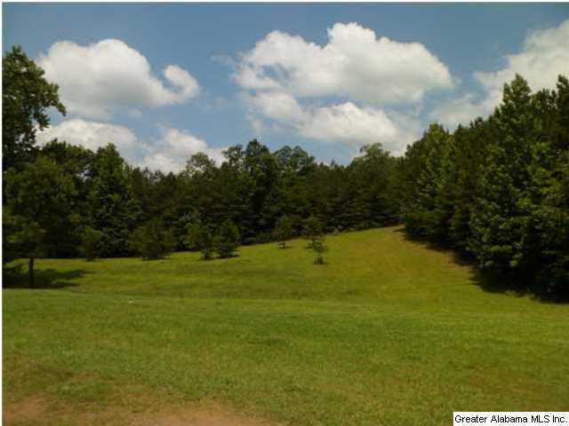 2794 Warrior Valley Road Altoona, AL 35952 - Photo 9 of 17