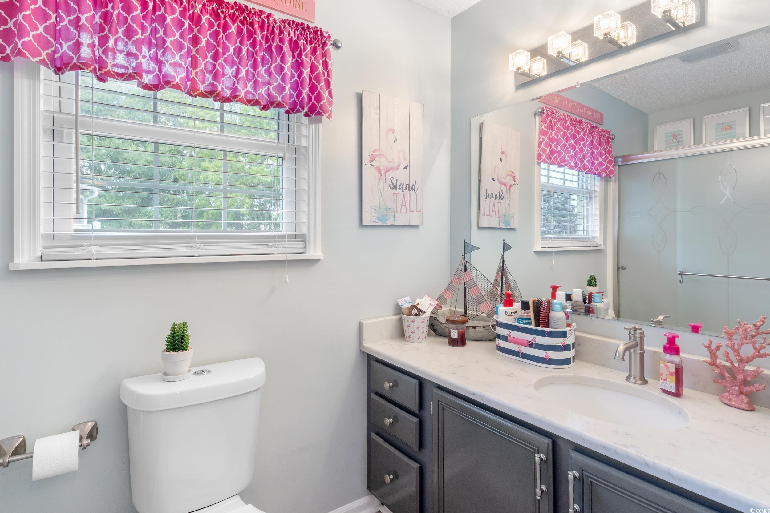 919 Dock Place Murrells Inlet, SC 29576 - Photo 19 of 39 Full bathroom featuring vanity, healthy amount of natural light, and a shower with shower door
