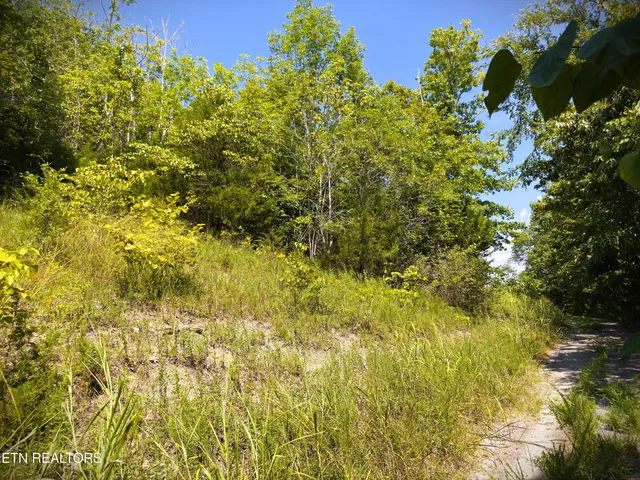 $42,000 | 7 D Bald Eagle Lane, Celina, TN 38551