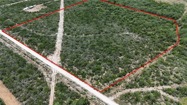 a view of a field with flowers