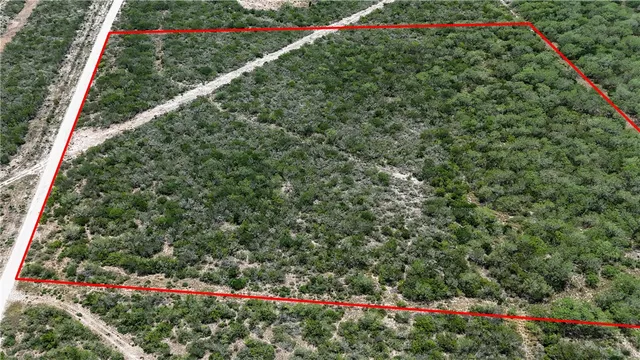 a view of a yard with a wooden fence