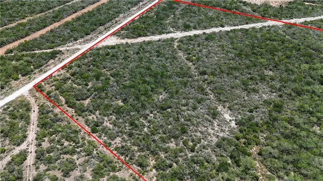 a picture of a tree with a wooden floor