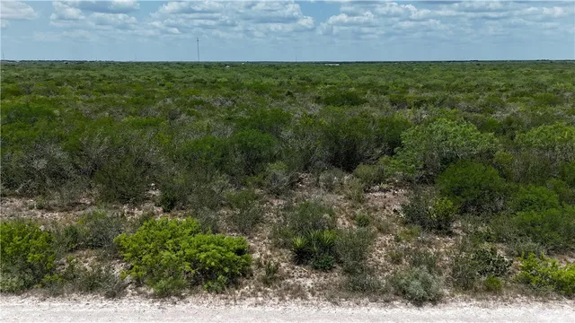 $55,000 | 0 Tr 18 La Nina Road, San Diego, TX 78384