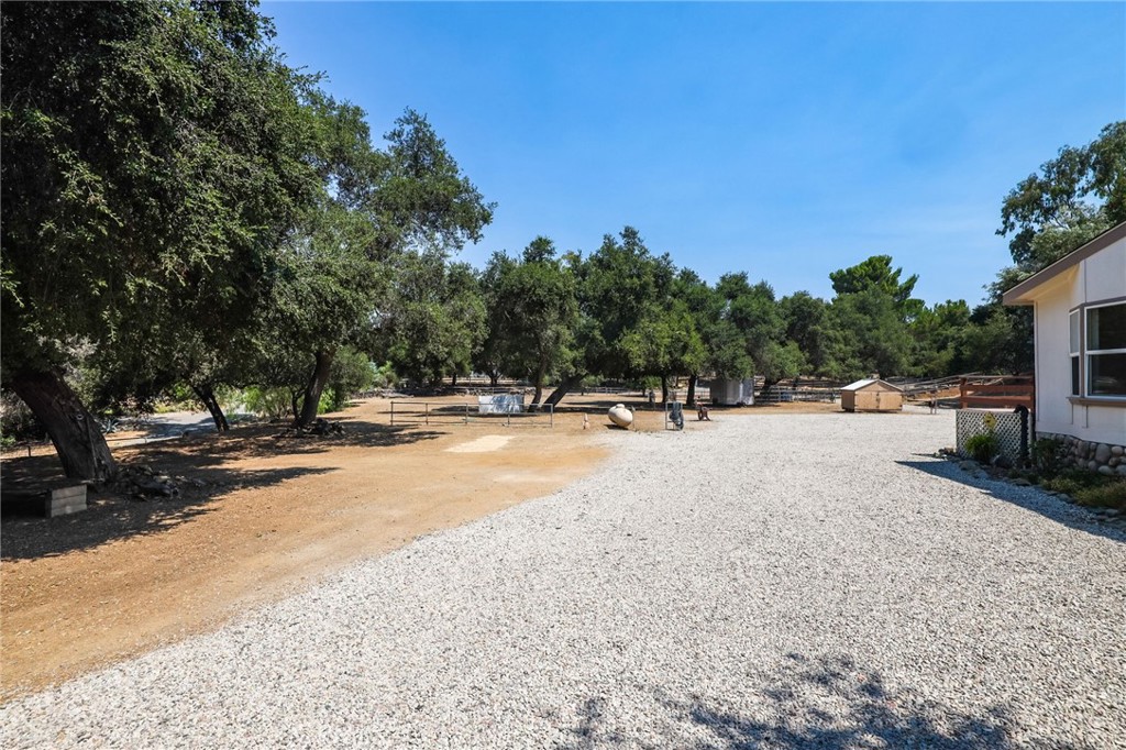 10880 Fox Springs Road Fallbrook, CA 92028 - Photo 31 of 39 a view of road with trees