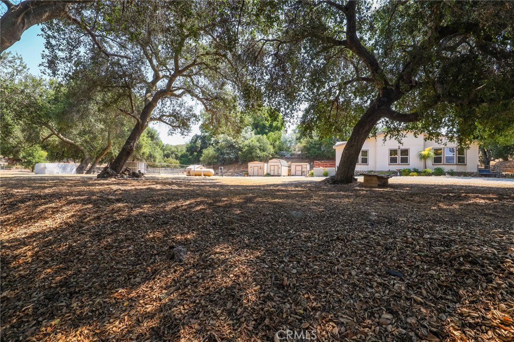 10880 Fox Springs Road Fallbrook, CA 92028 - Photo 32 of 39 a view of outdoor space with trees