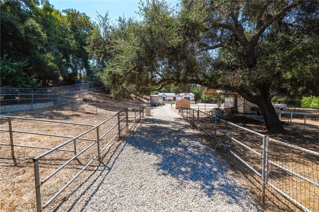 10880 Fox Springs Road Fallbrook, CA 92028 - Photo 35 of 39 a view of a backyard with sitting area