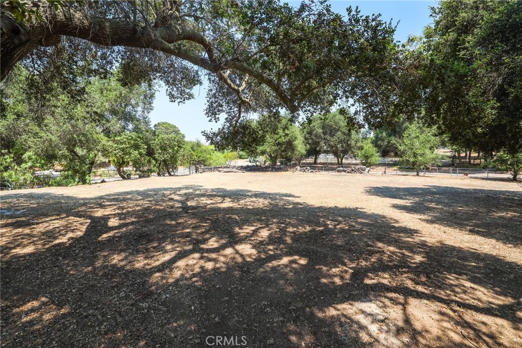 10880 Fox Springs Road Fallbrook, CA 92028 - Photo 36 of 39 a view of road and trees