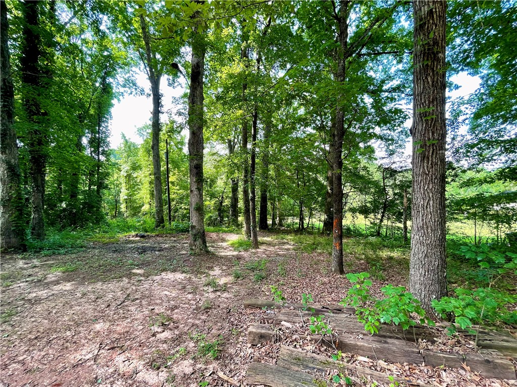 318 Hillandale Road Liberty, SC 29657 - Photo 38 of 48 Back Yard