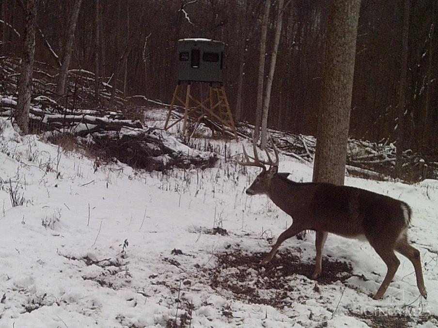 Ac Beech Fork Road Peebles, OH 45660 - Photo 41 of 49