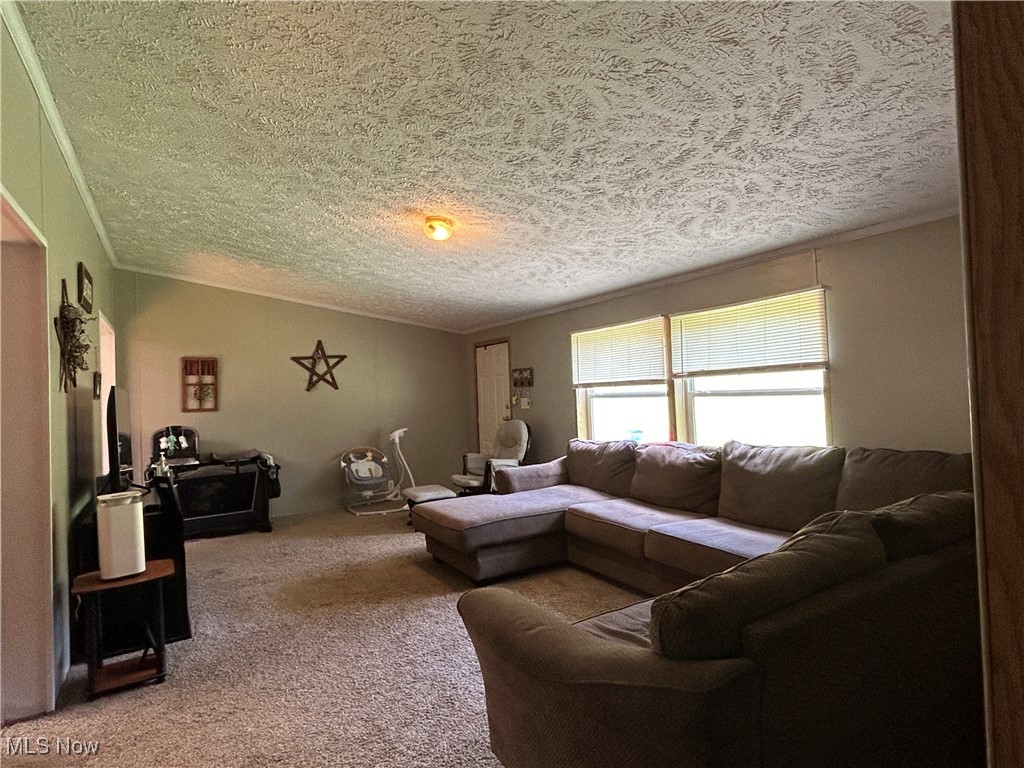 8081 Big Run Road Gambier, OH 43022 - Photo 9 of 28 Living room with a textured ceiling and carpet floors