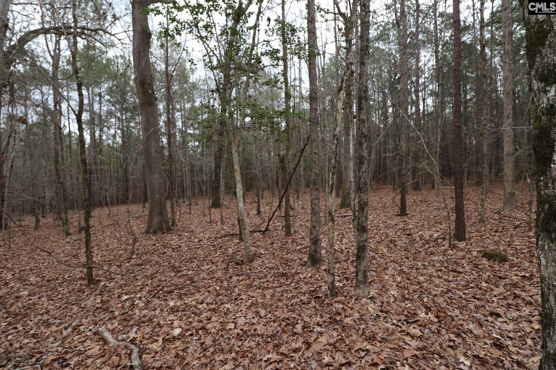 Lot 229 Granny Hill Road Prosperity, SC 29127 - Photo 55 of 61