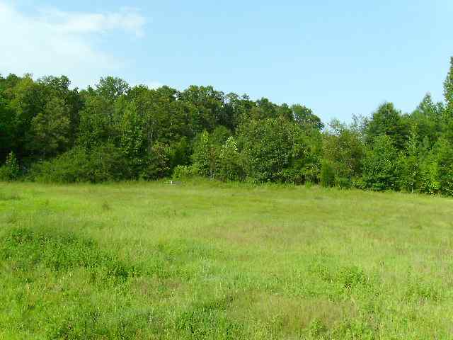 369 Dials Church Road Gray Court, SC 29645 - Photo 2 of 6 Gallery Image 2
