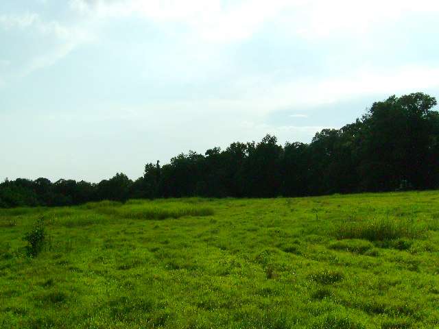 369 Dials Church Road Gray Court, SC 29645 - Photo 4 of 6 Gallery Image 4