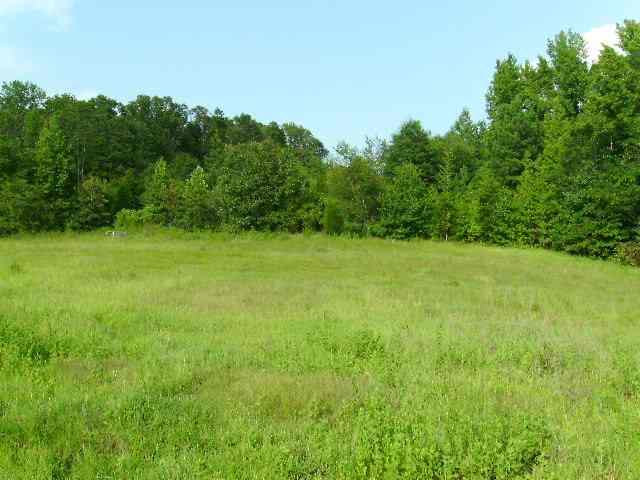 369 Dials Church Road Gray Court, SC 29645 - Photo 5 of 6 Gallery Image 5