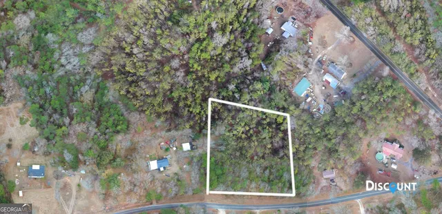 a view of a window and a tree