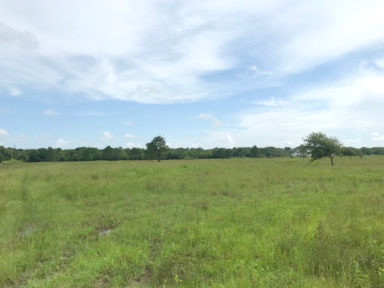 0 Bayou Trace Road Beaumont, TX 77705 - Photo 1 of 1