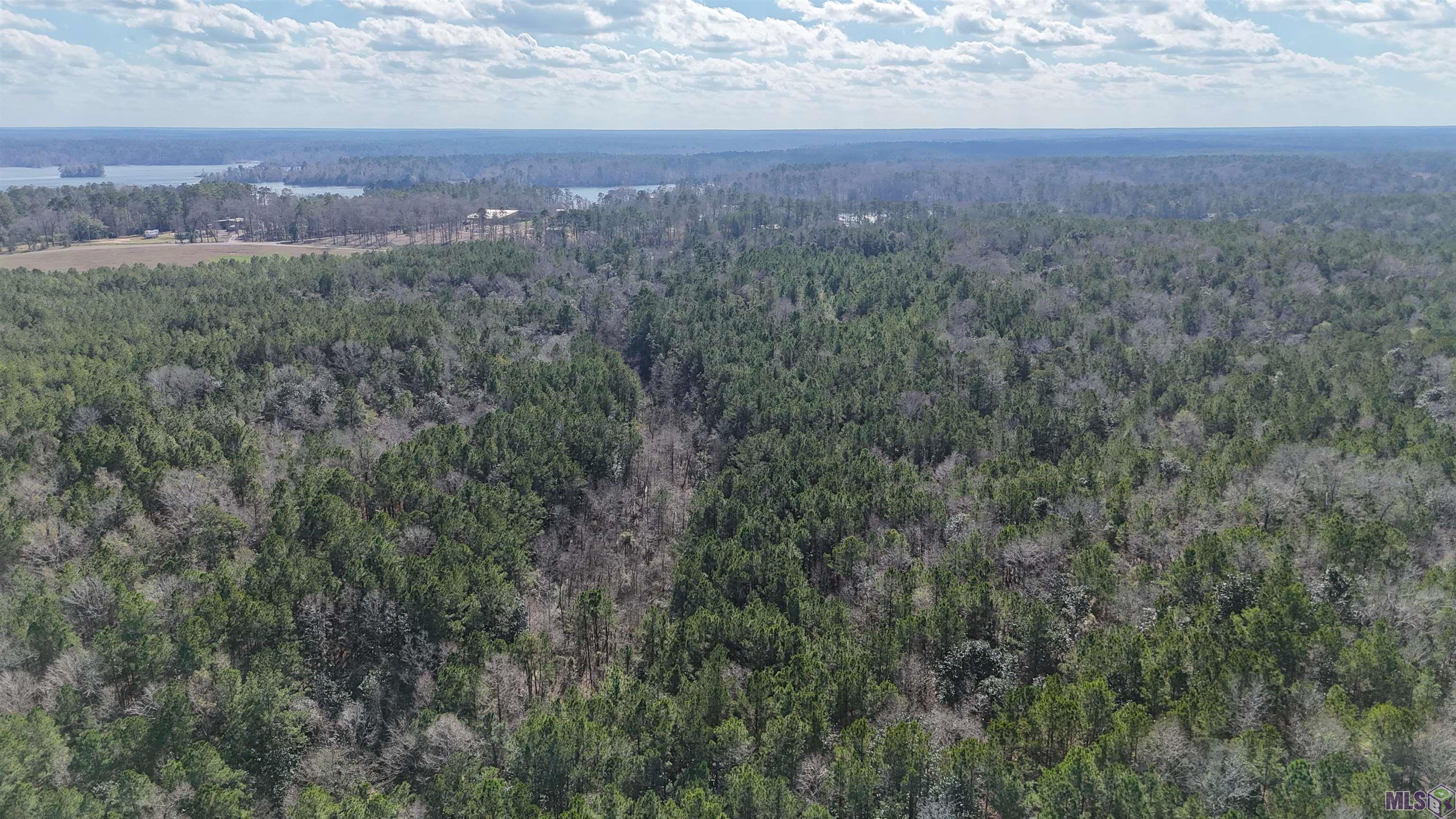 0 La Highway Boyce, LA 71409 - Photo 11 of 45