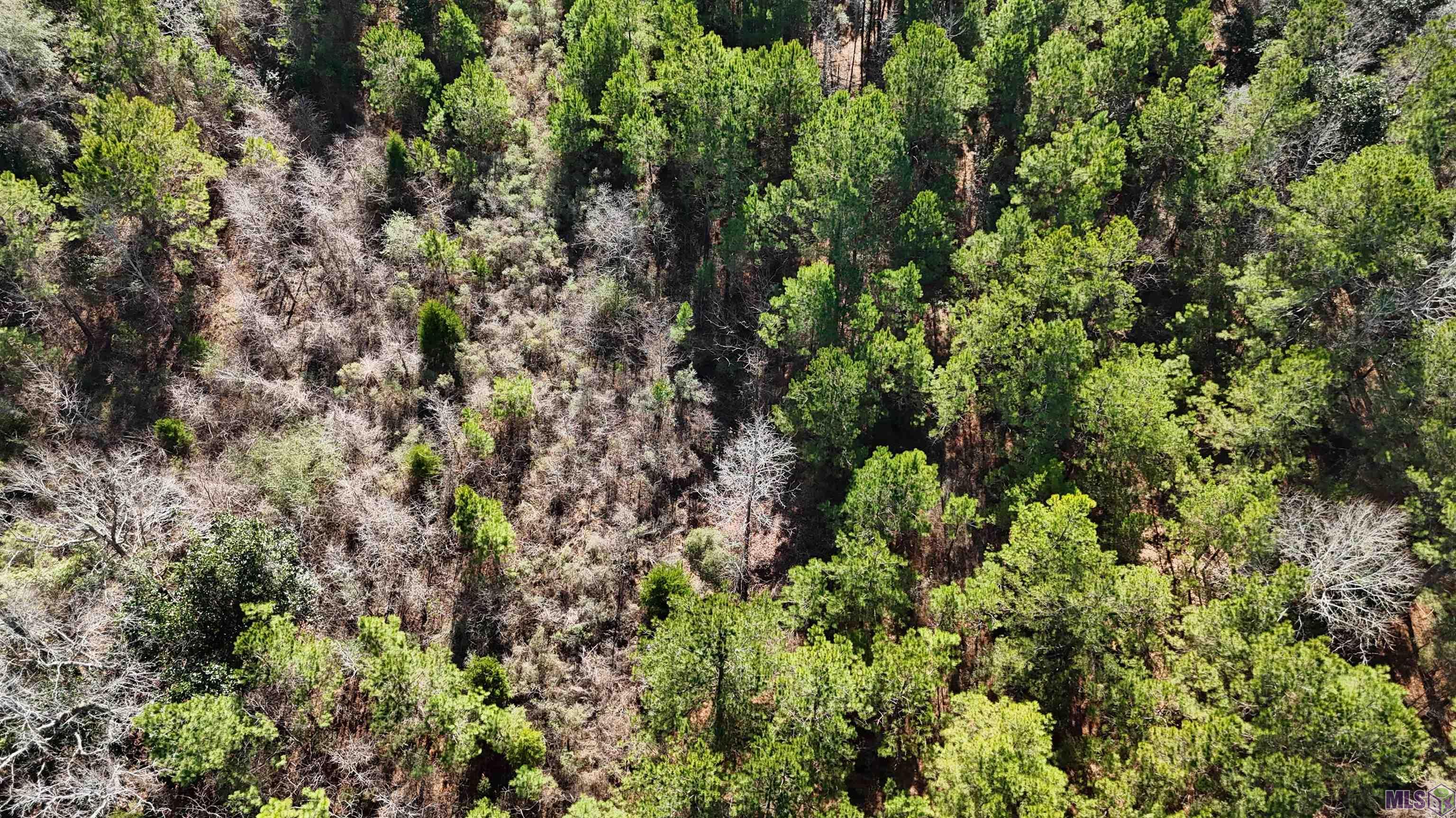 0 La Highway Boyce, LA 71409 - Photo 12 of 45