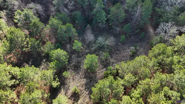 $450,000 | 0 La Highway, Boyce, LA 71409