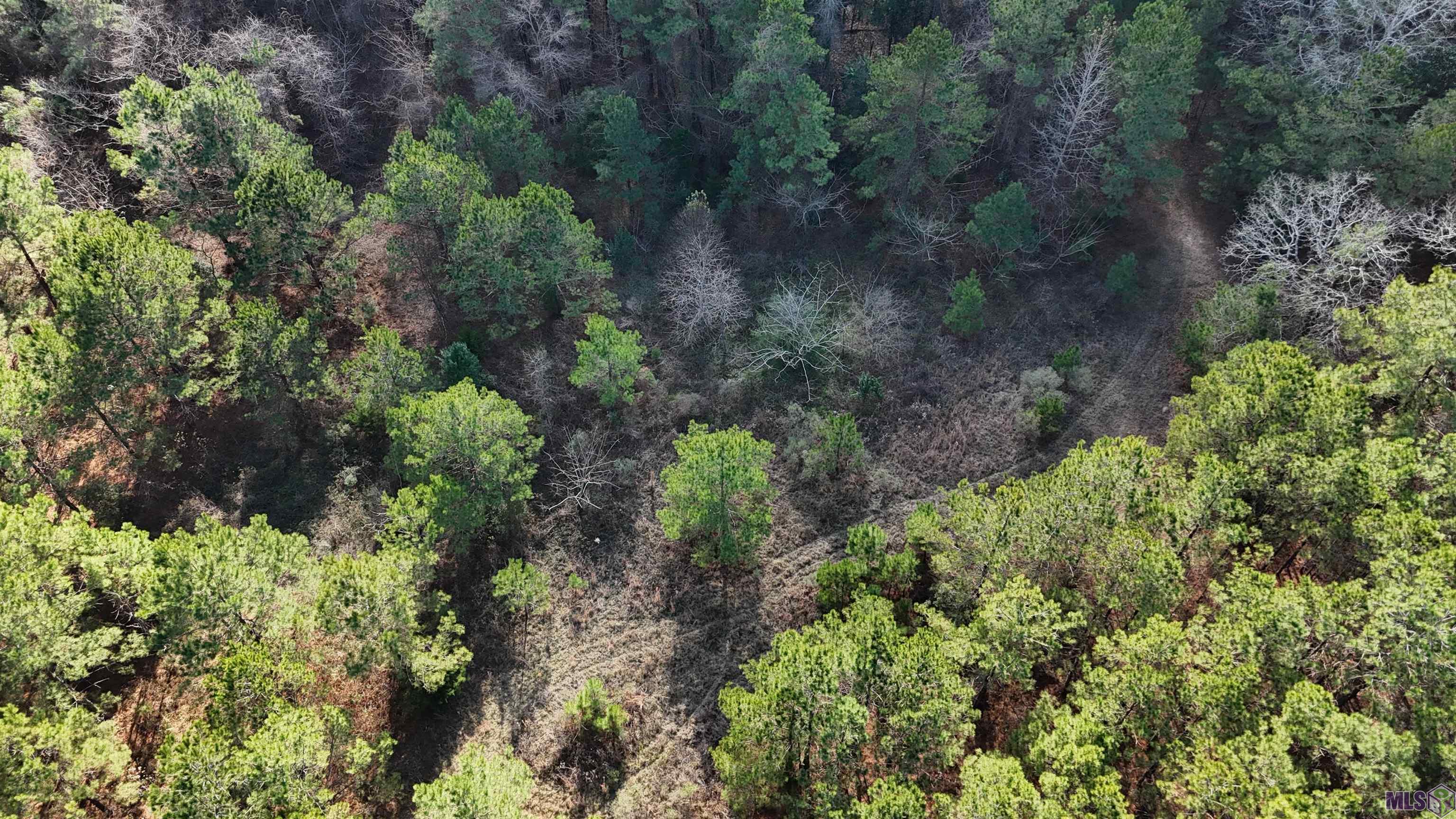 0 La Highway Boyce, LA 71409 - Photo 13 of 45