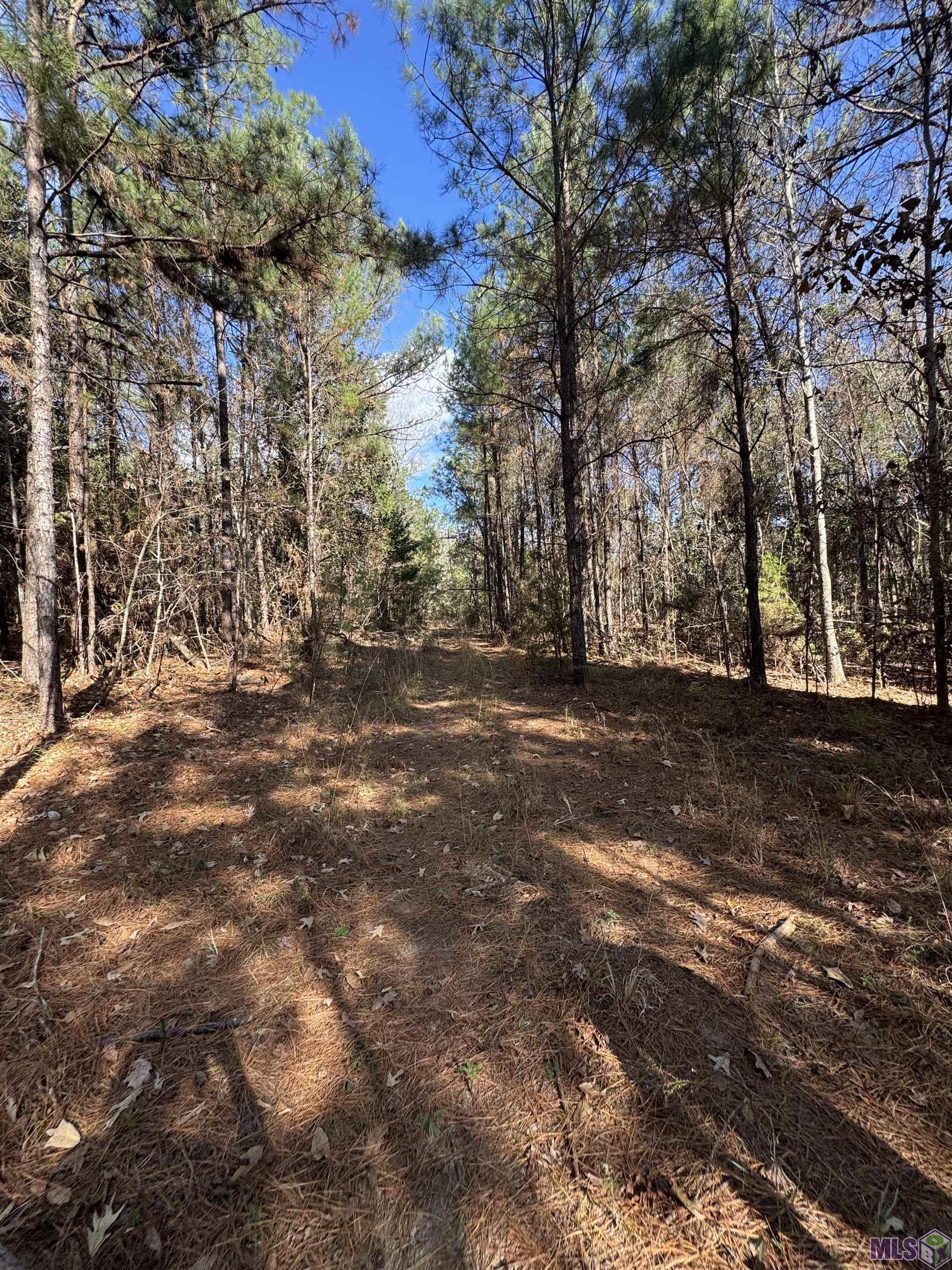 0 La Highway Boyce, LA 71409 - Photo 14 of 45
