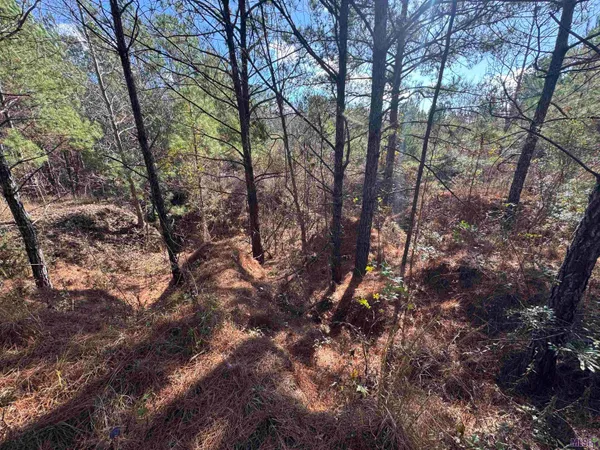 $450,000 | 0 La Highway, Boyce, LA 71409