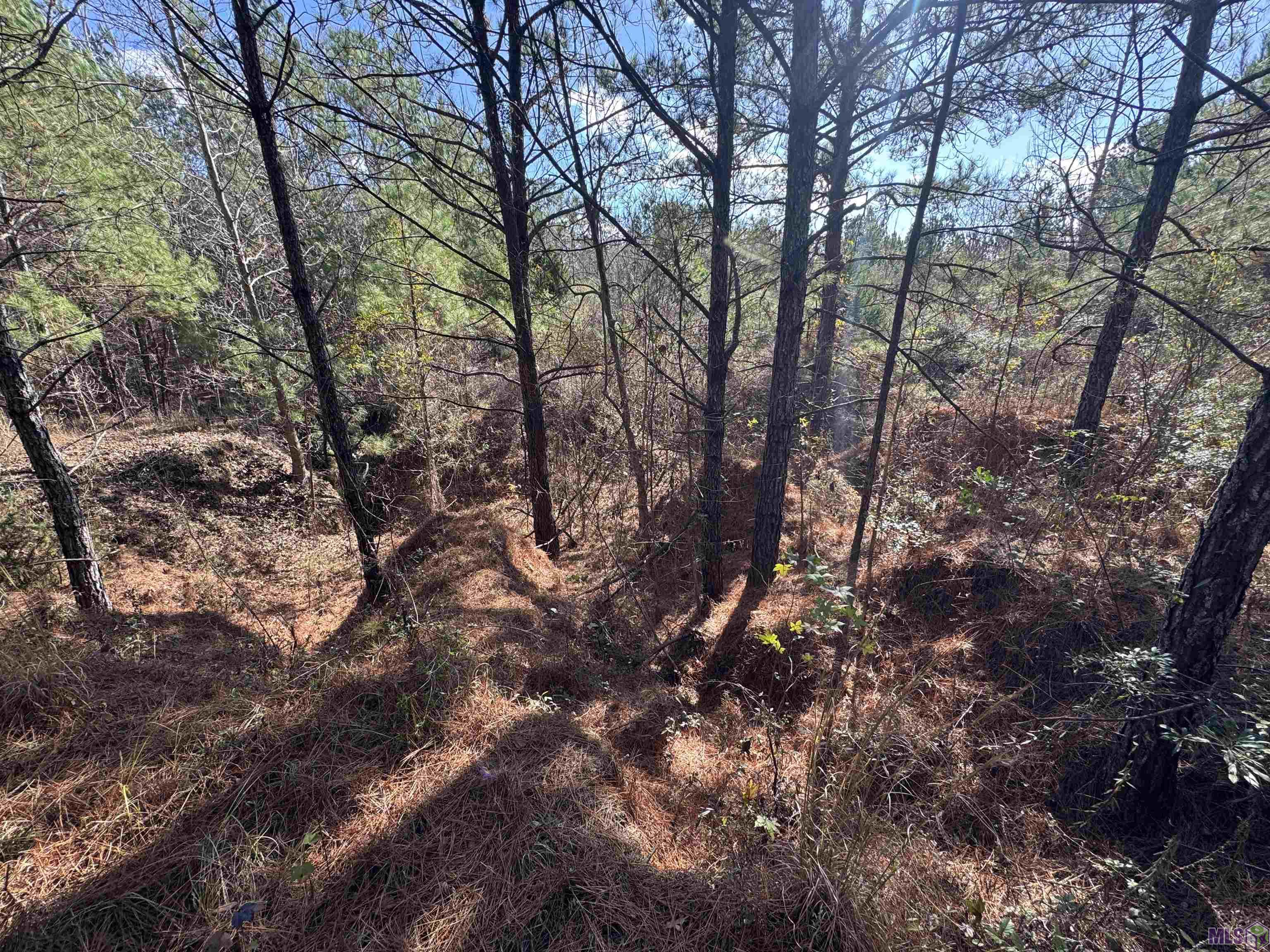 0 La Highway Boyce, LA 71409 - Photo 15 of 45