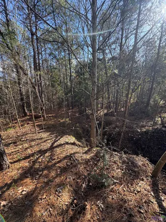 $450,000 | 0 La Highway, Boyce, LA 71409
