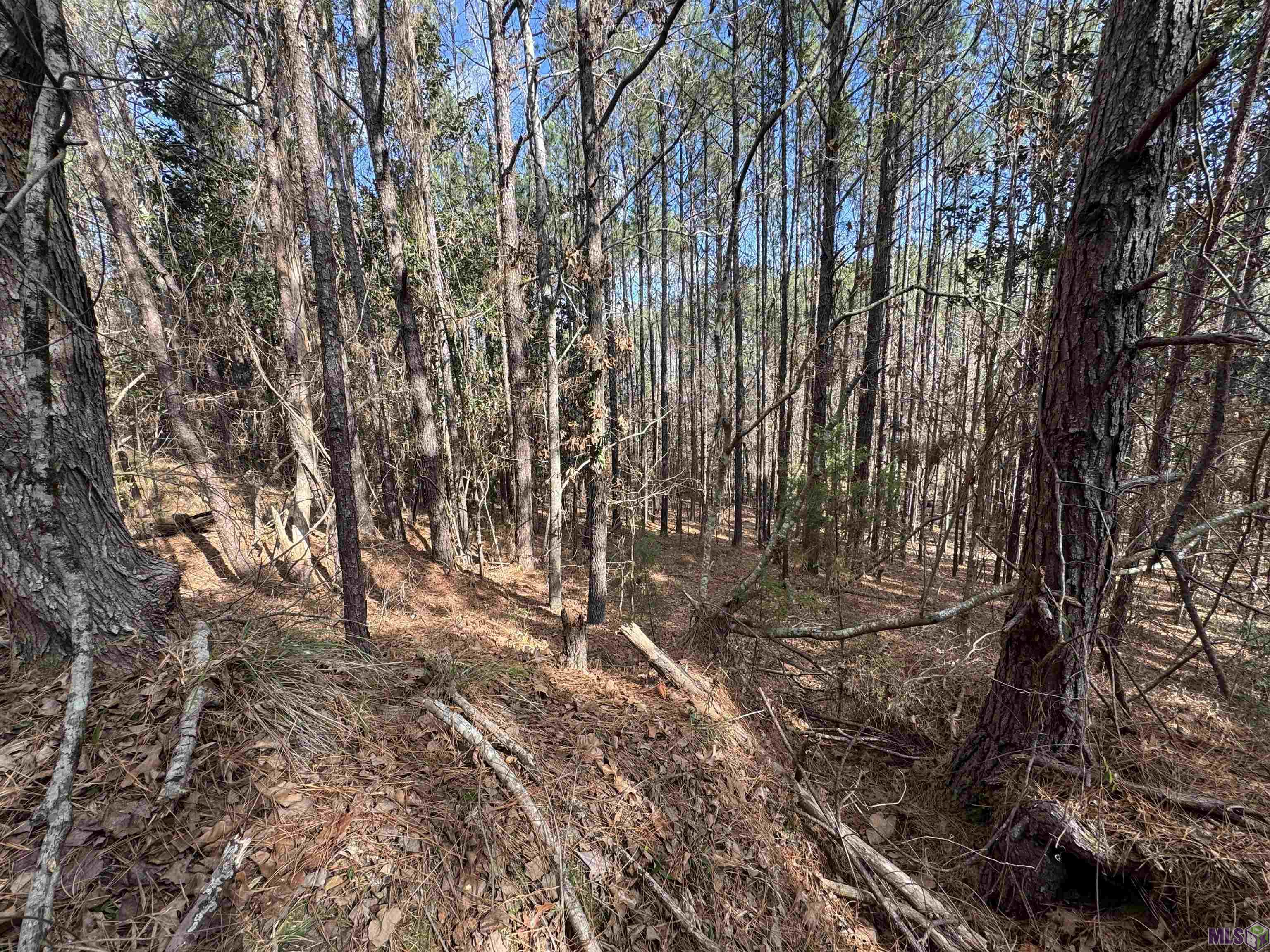 0 La Highway Boyce, LA 71409 - Photo 17 of 45