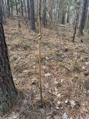 $450,000 | 0 La Highway, Boyce, LA 71409