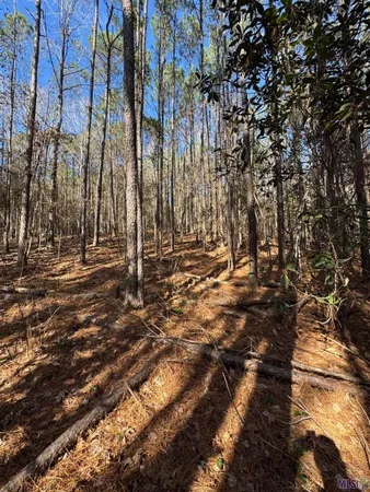 $450,000 | 0 La Highway, Boyce, LA 71409