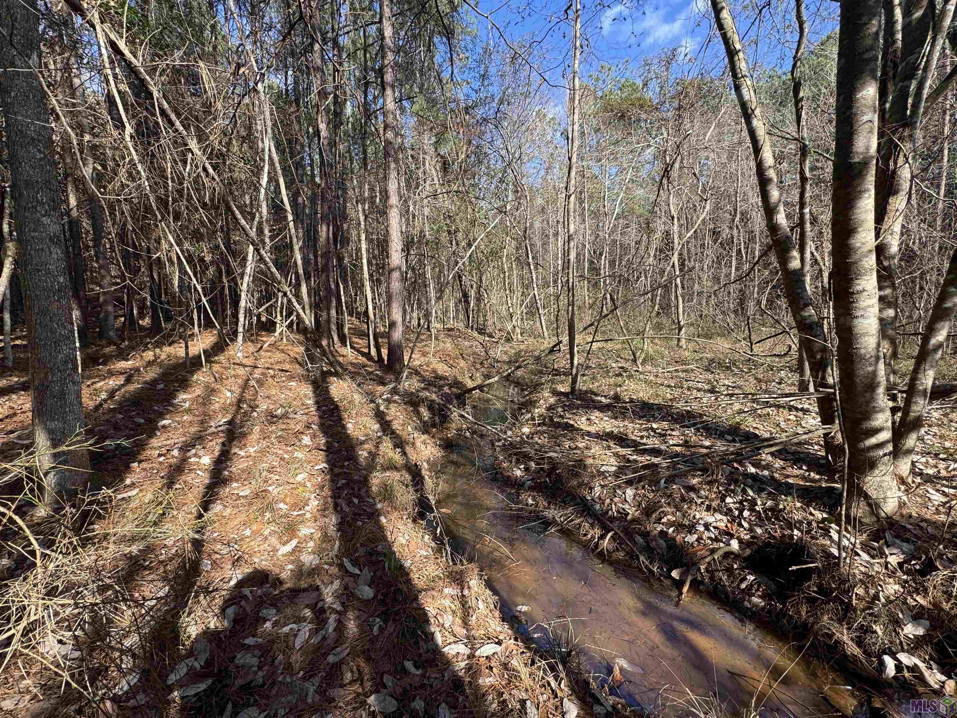 0 La Highway Boyce, LA 71409 - Photo 20 of 45