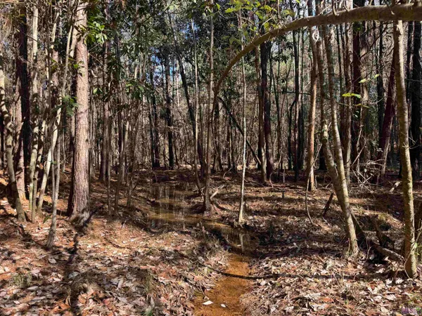 $450,000 | 0 La Highway, Boyce, LA 71409