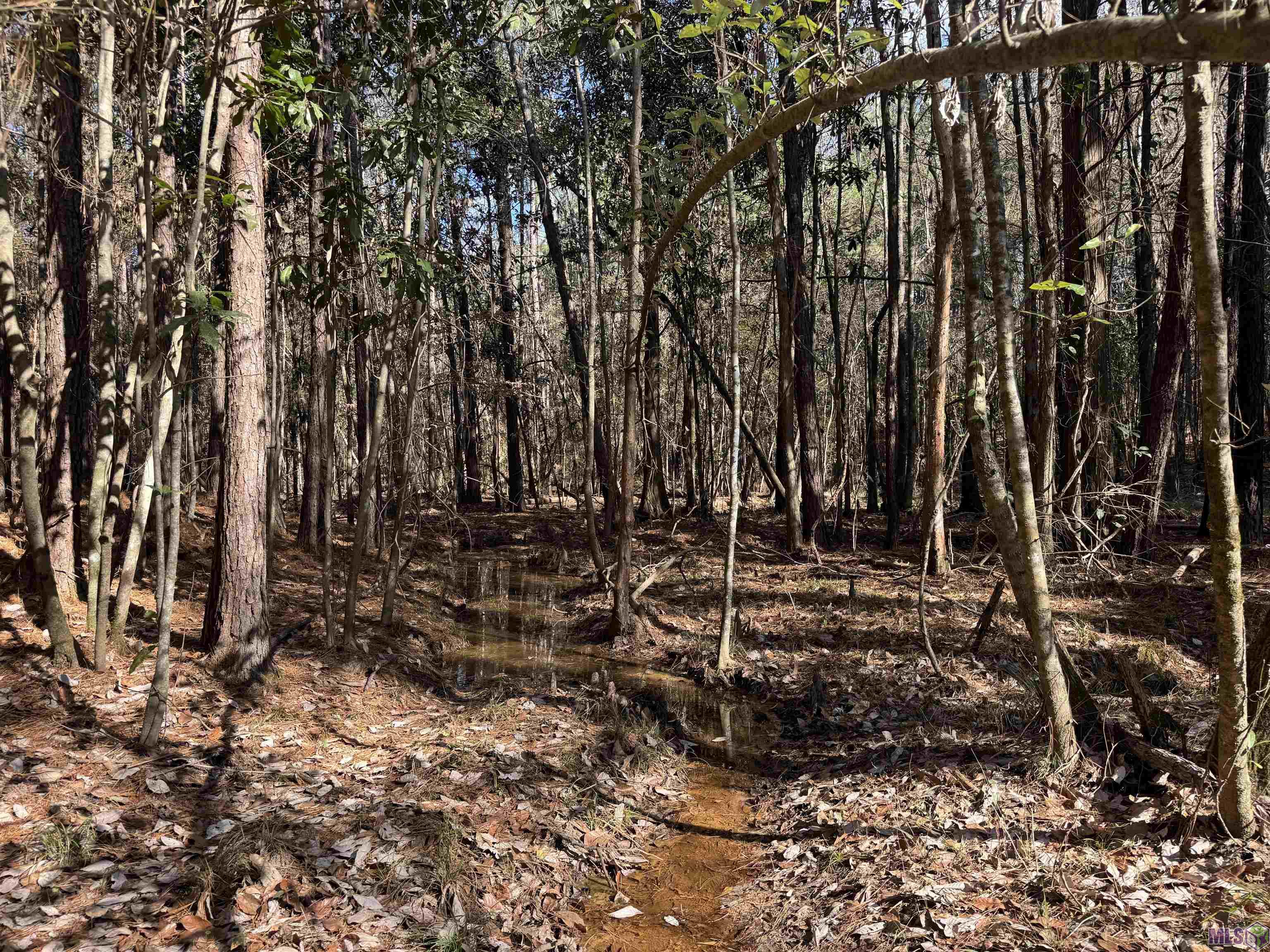 0 La Highway Boyce, LA 71409 - Photo 21 of 45