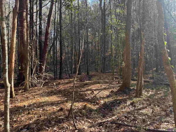 $450,000 | 0 La Highway, Boyce, LA 71409