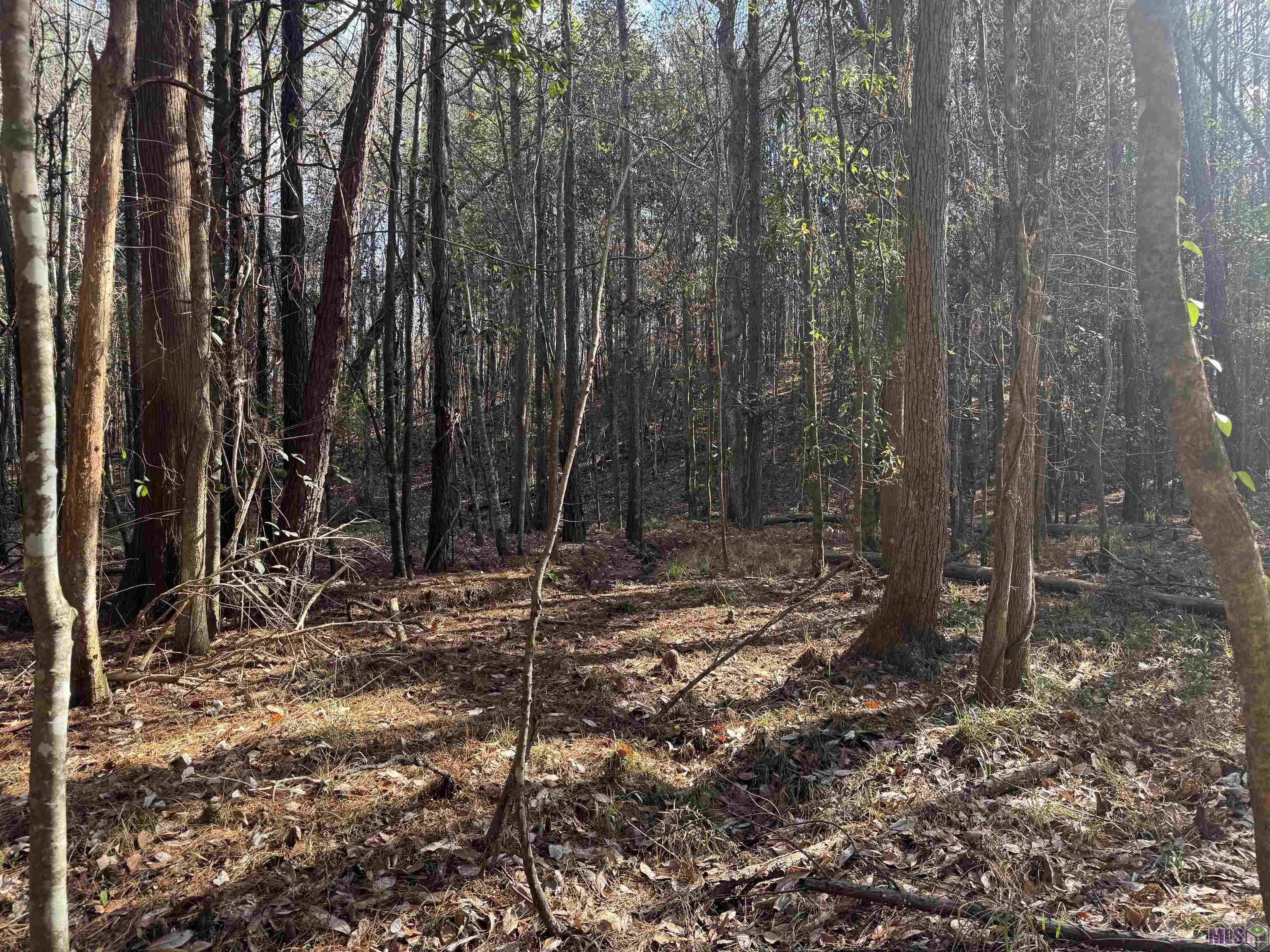 0 La Highway Boyce, LA 71409 - Photo 22 of 45